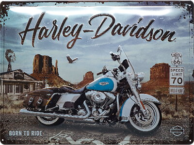plechová tabuľa "HARLEY DAVIDSON" 10015168