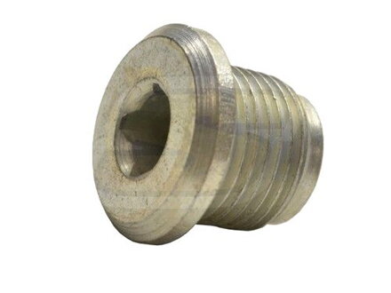 Drain Plug 1176961700