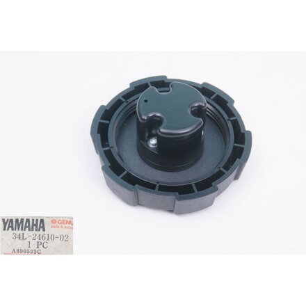 CAP ASSEMBLY 34L246100200