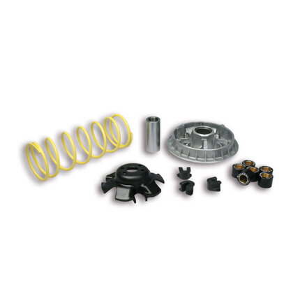 VARIATOR MULTIVAR 2000 MALOSSI 5111838