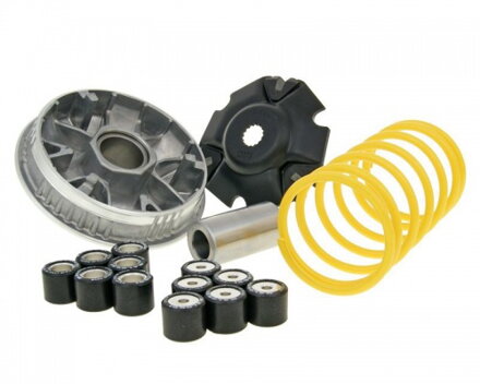 VARIATOR MULTIVAR 2000 MALOSSI 5113134