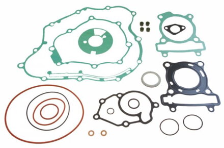tesniaca sada motora ATHENA 734.16.63