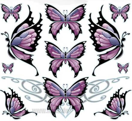 Nálepka motýle-10011147