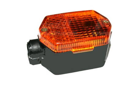 smerovka Sim.hranatá 241014