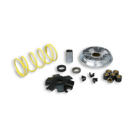VARIATOR MULTIVAR MALOSSI 5111151