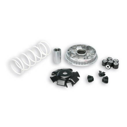 VARIATOR MULTIVAR 2000 MALOSSI 5111572