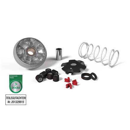 VARIATOR MULTIVAR MALOSSI 517075