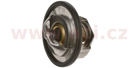 termostat, Tourmax M331-046