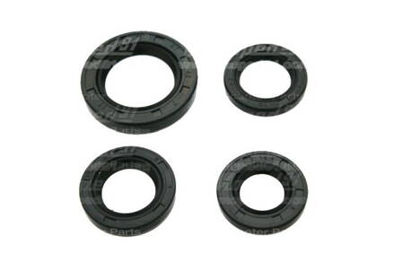 sada gufier motora GY6 50 4T 139QMA - 13  19547