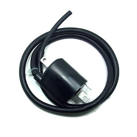 zapaľovacia cievka 12V 700.00.12